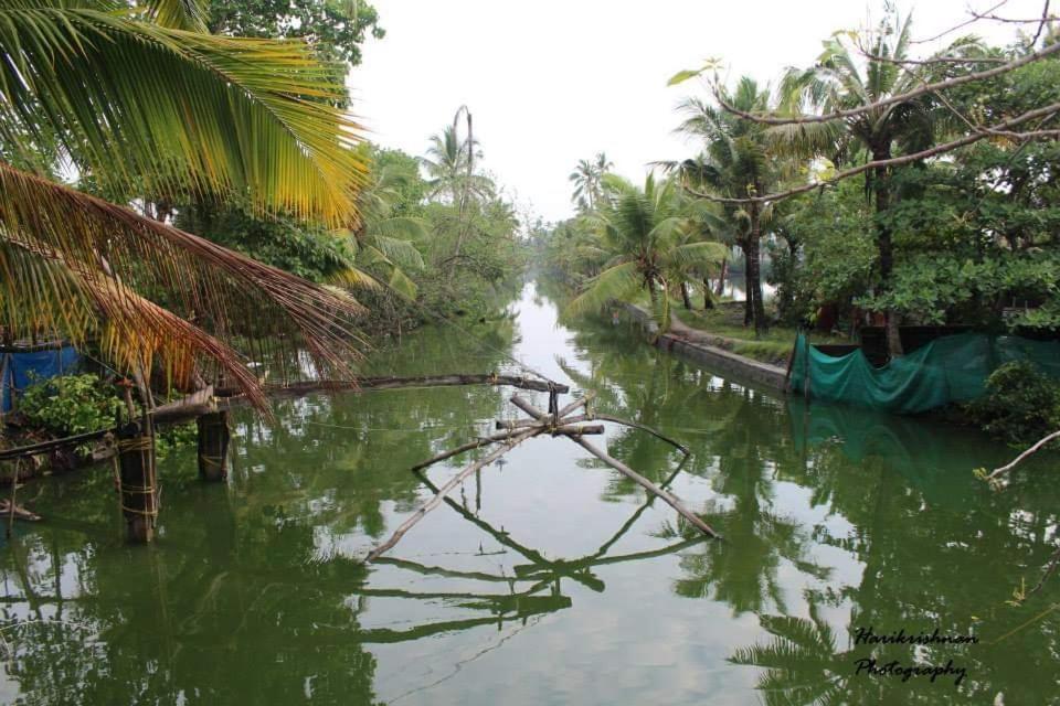 Marari Stella Vich Villa Homestay Turavūr 외부 사진