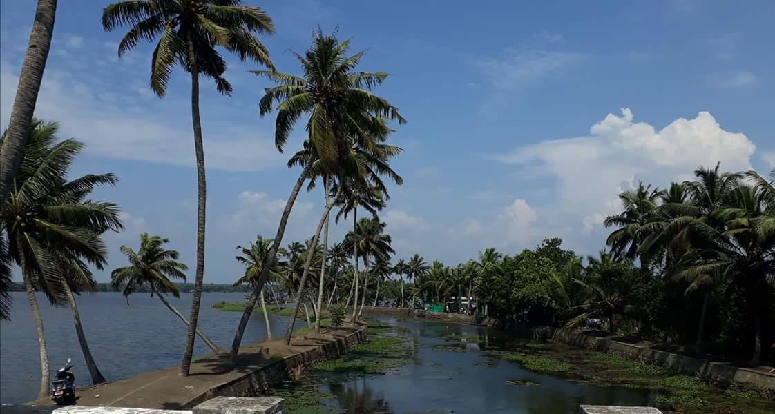 Marari Stella Vich Villa Homestay Turavūr 외부 사진