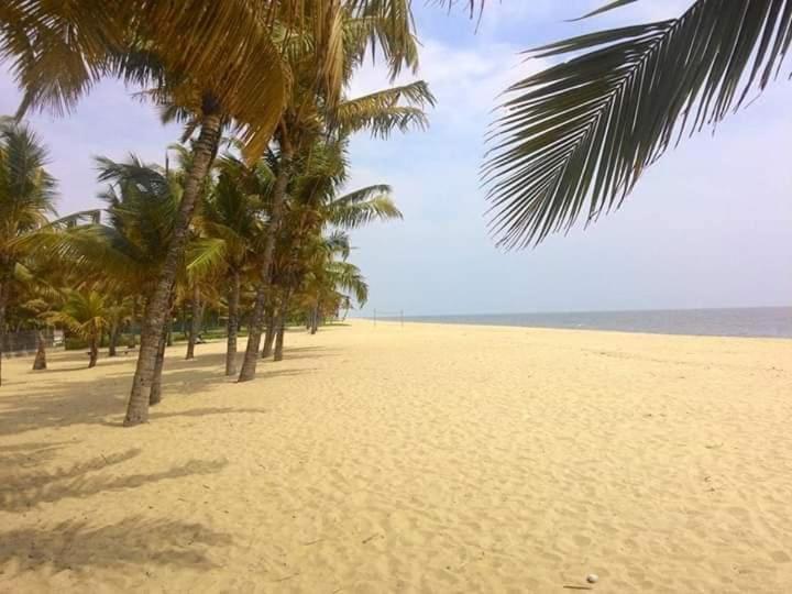 Marari Stella Vich Villa Homestay Turavūr 외부 사진